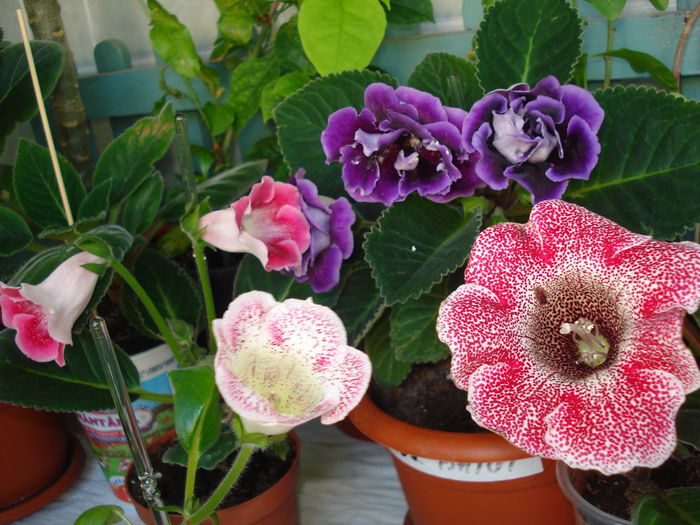 DSC01001