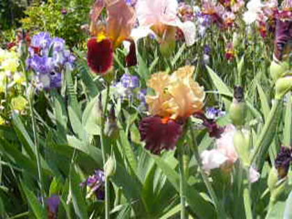 P1230536