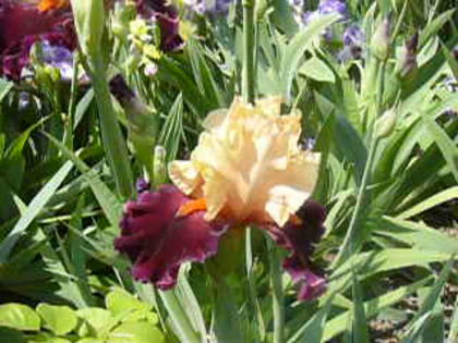 P1230538