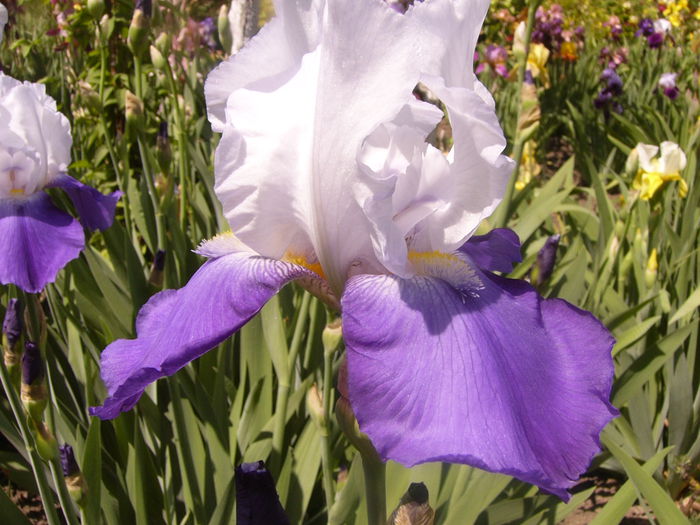 P1230549