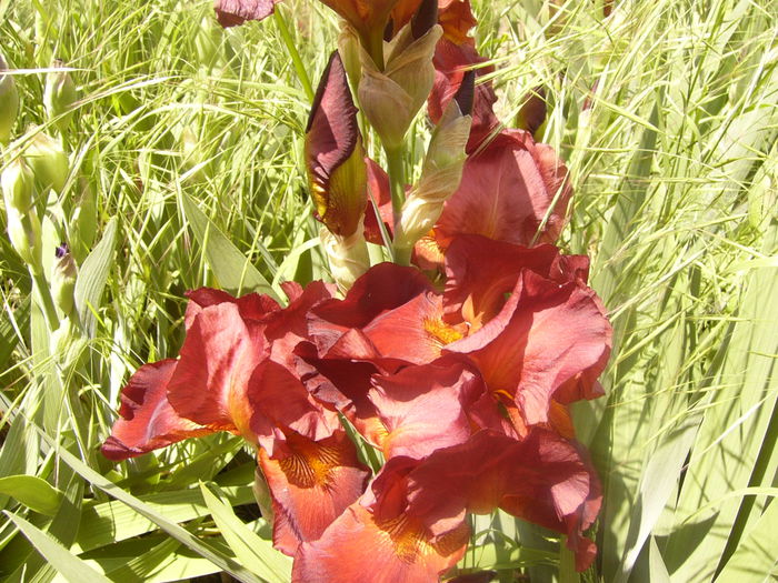 P1230552
