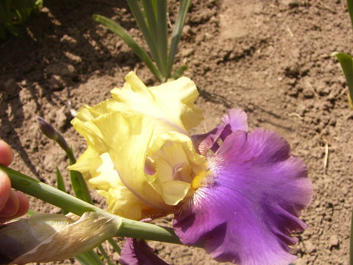 P1230555