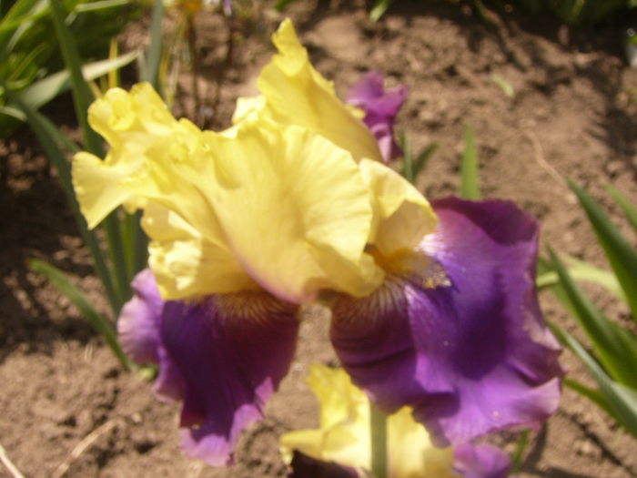 P1230556