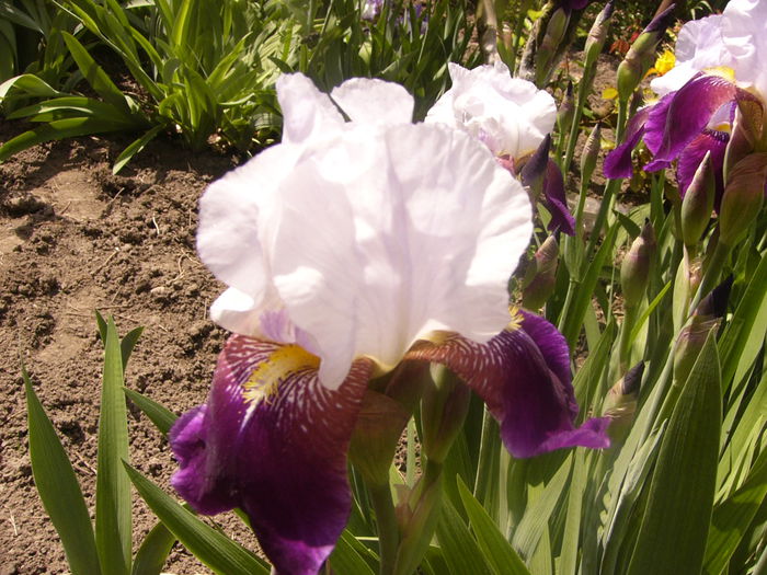 P1230557
