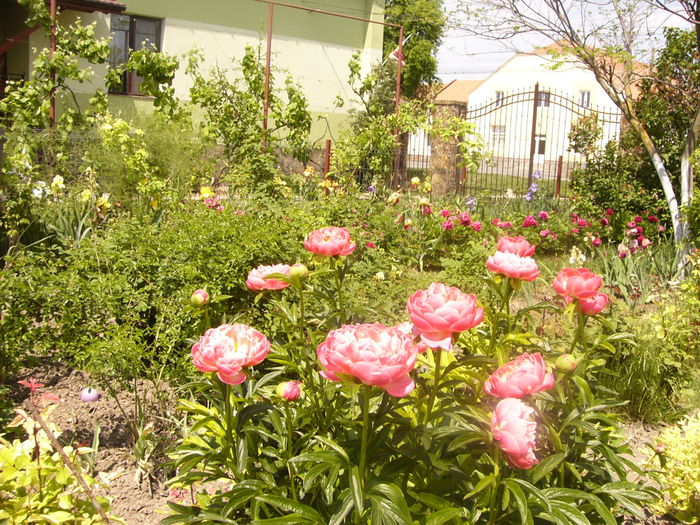 P1230576