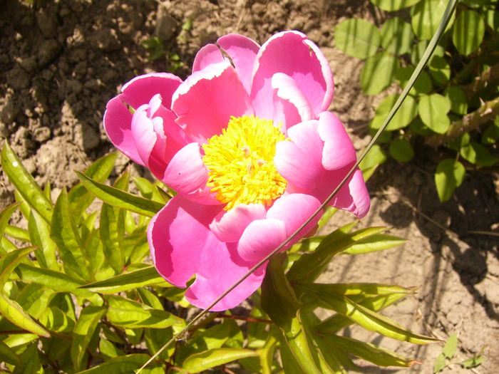 P1230579