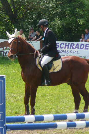 P1170218 - TRANSILVANIA HORSE SHOW  MAI 2015