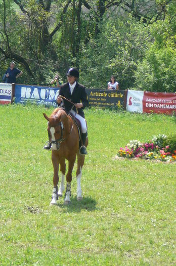 P1170222 - TRANSILVANIA HORSE SHOW  MAI 2015