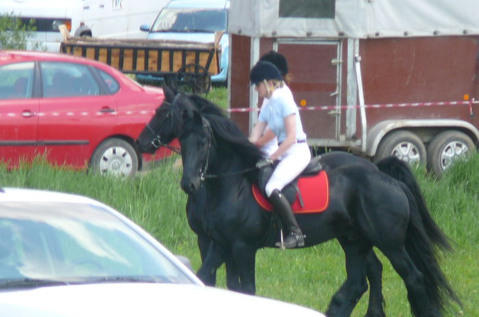 P1170223 - TRANSILVANIA HORSE SHOW  MAI 2015