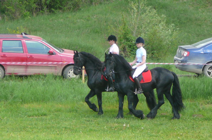 P1170224 - TRANSILVANIA HORSE SHOW  MAI 2015