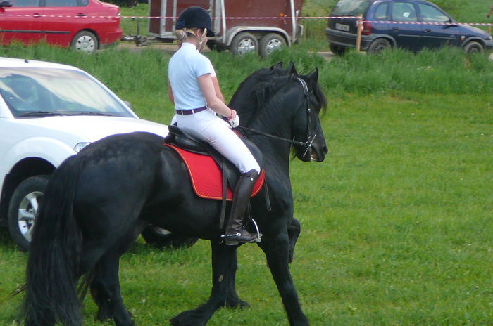 P1170227 - TRANSILVANIA HORSE SHOW  MAI 2015