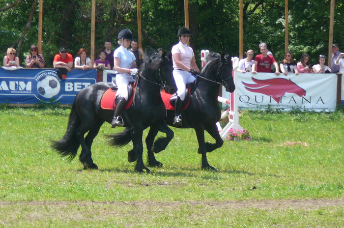 P1170229 - TRANSILVANIA HORSE SHOW  MAI 2015