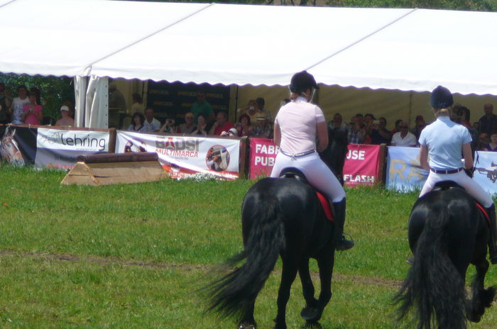 P1170230 - TRANSILVANIA HORSE SHOW  MAI 2015