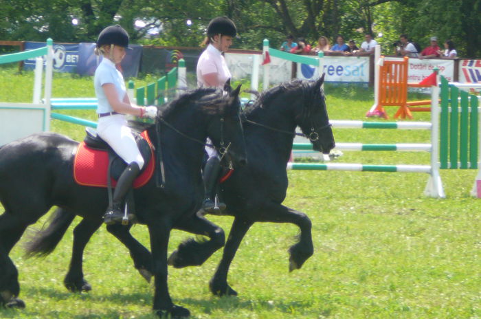 P1170232 - TRANSILVANIA HORSE SHOW  MAI 2015
