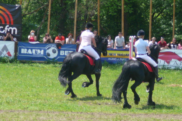 P1170233 - TRANSILVANIA HORSE SHOW  MAI 2015