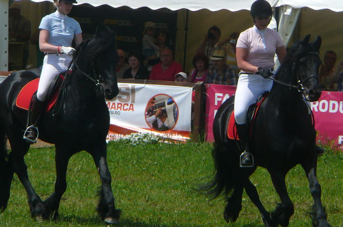 P1170234 - TRANSILVANIA HORSE SHOW  MAI 2015