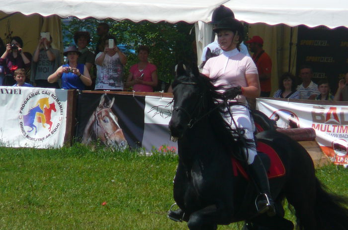 P1170236 - TRANSILVANIA HORSE SHOW  MAI 2015