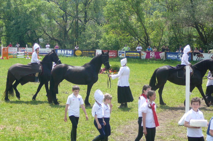 P1170240 - TRANSILVANIA HORSE SHOW  MAI 2015