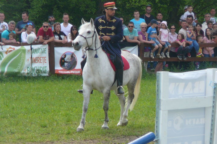 P1170249 - TRANSILVANIA HORSE SHOW  MAI 2015