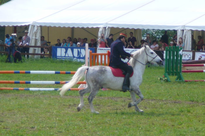 P1170250 - TRANSILVANIA HORSE SHOW  MAI 2015