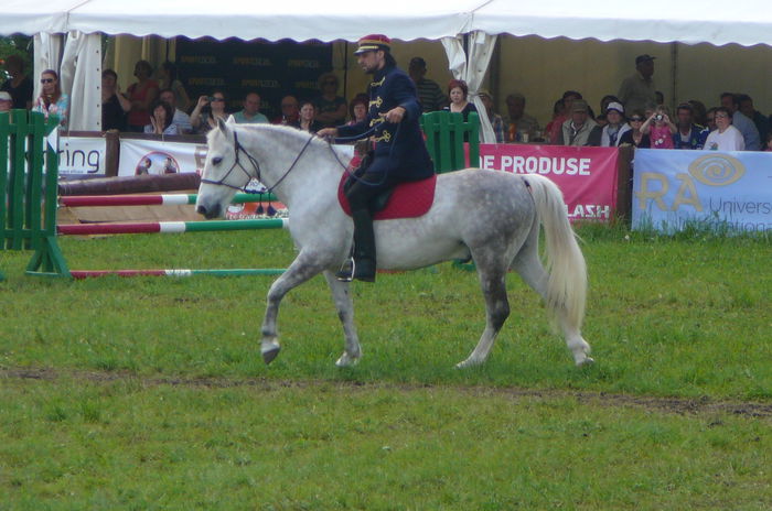 P1170251 - TRANSILVANIA HORSE SHOW  MAI 2015