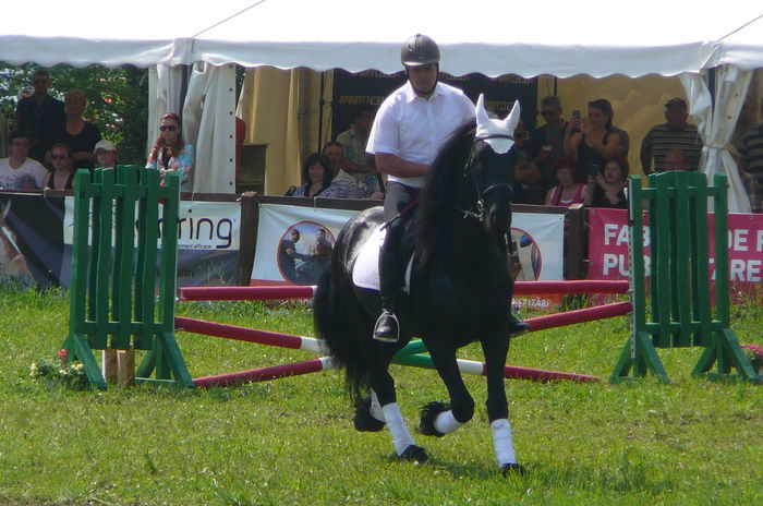 P1170257 - TRANSILVANIA HORSE SHOW  MAI 2015