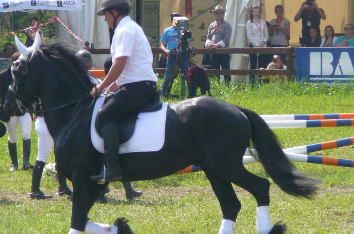 P1170258 - TRANSILVANIA HORSE SHOW  MAI 2015