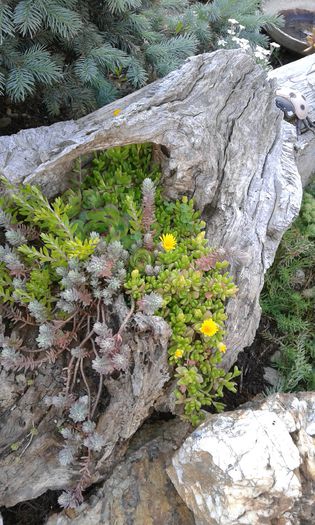 20150513_185142[1]