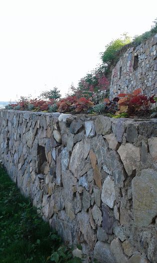 20150513_185240[1]