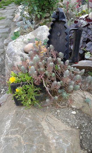20150513_185205[1]