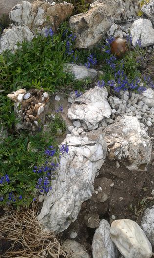 20150513_191340[1]