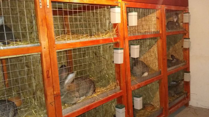 finalizate in totalitate