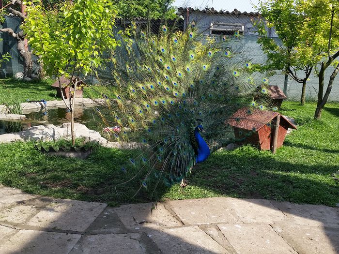 20150514_100351