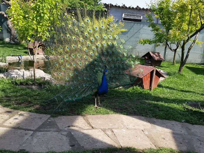 20150514_100347