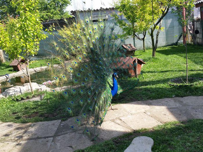 20150514_100238