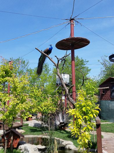 20150514_100647