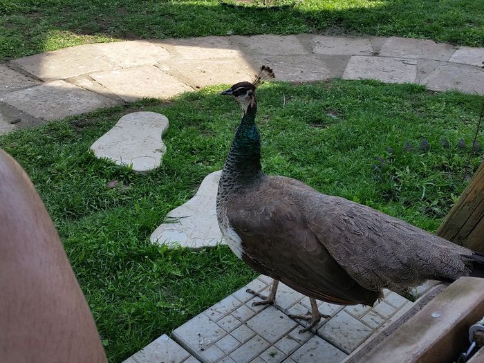 20150514_101103