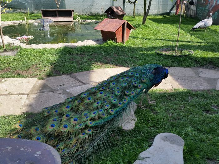 20150514_101342