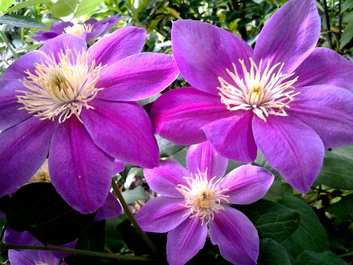 20150514_124828