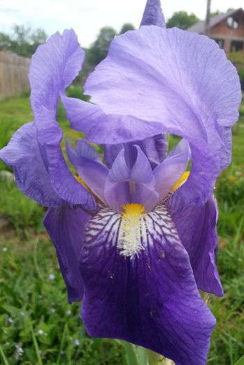 20150504_165601-1 - 1_PRIMAVARA