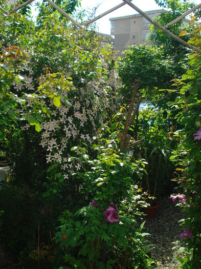 12.05.2015 - Gradina 2015