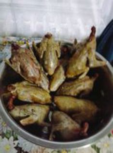 101211836_YUYKDKJ3 - POZE HAIOASE