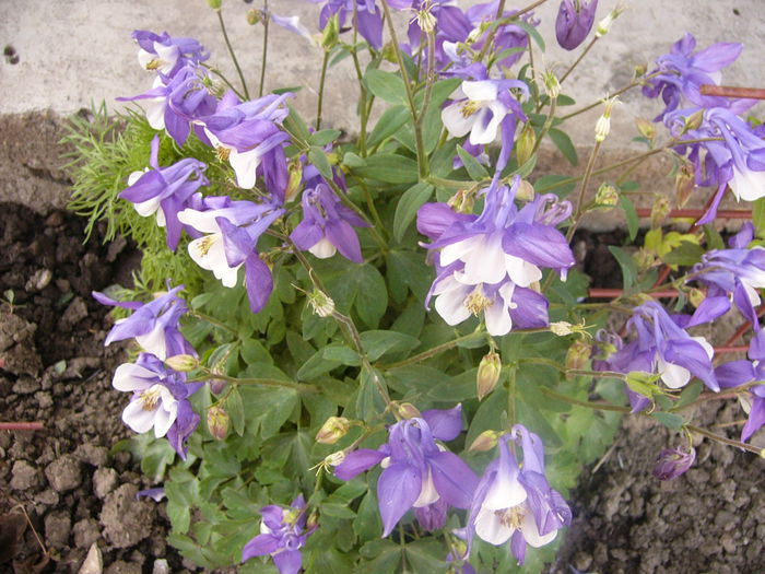 P1230716