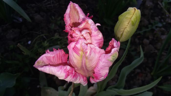 20150430_185201