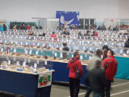 9 - Expo Sofia 2014