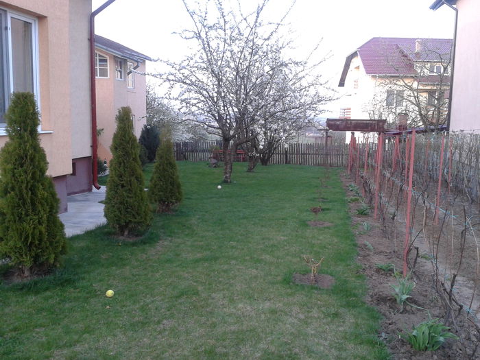 2015-04-24 19.49.05 - SUCEAVA - 2015