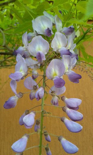 20150427_184016