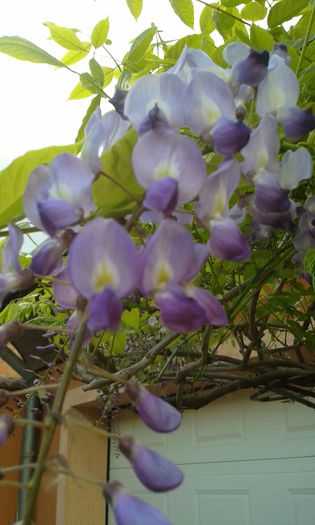 20150427_184009