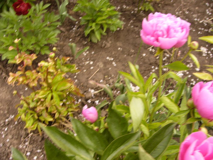 P1230780