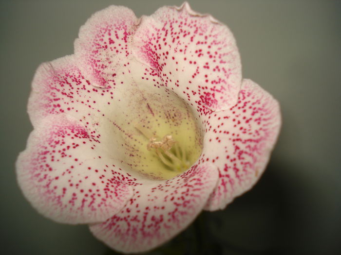 DSC01067